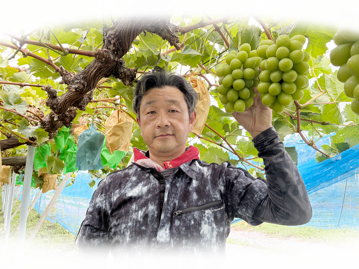 生産農家様から直接お届けします