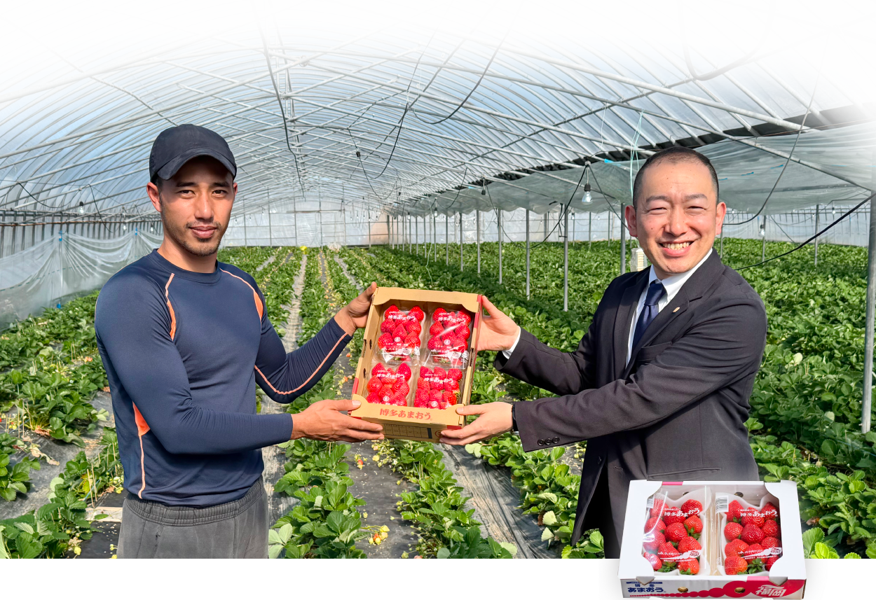 生産農家様から直接お届けします