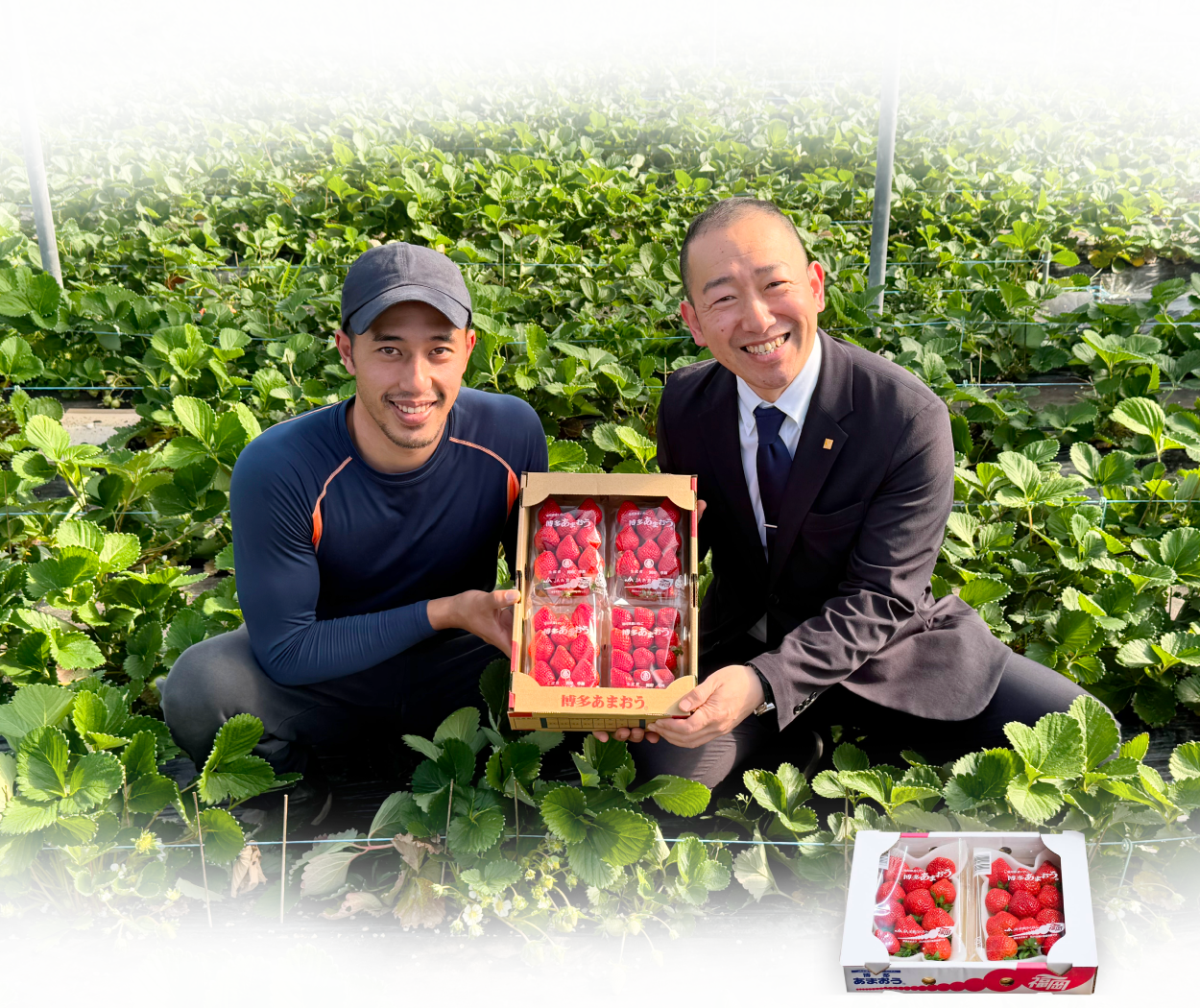 いちご農家さんからお届け